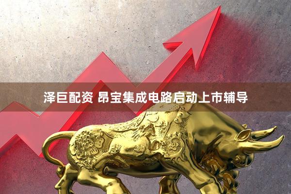 泽巨配资 昂宝集成电路启动上市辅导