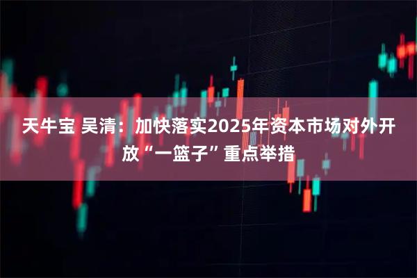 天牛宝 吴清：加快落实2025年资本市场对外开放“一篮子”重点举措