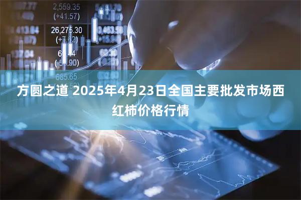 方圆之道 2025年4月23日全国主要批发市场西红柿价格行情