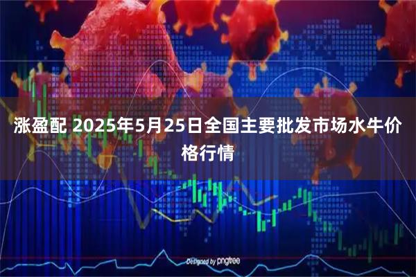 涨盈配 2025年5月25日全国主要批发市场水牛价格行情