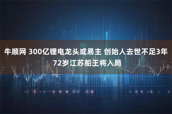 牛顺网 300亿锂电龙头或易主 创始人去世不足3年 72岁江苏船王将入局