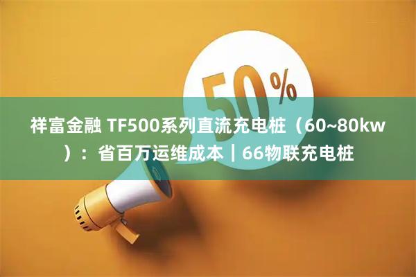 祥富金融 TF500系列直流充电桩（60~80kw）：省百万运维成本｜66物联充电桩