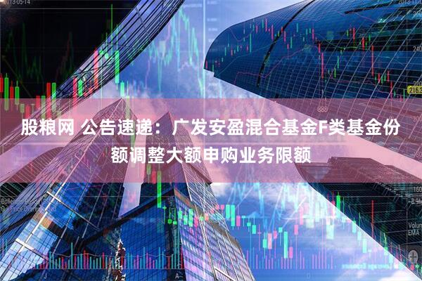 股粮网 公告速递：广发安盈混合基金F类基金份额调整大额申购业务限额